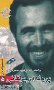 پروانه در چراغانی