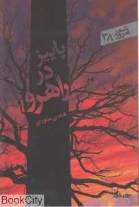 پاییز در راهرو (شعر امروز 38)