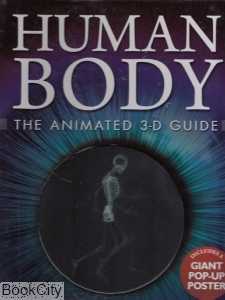 D3 Animated Human Body