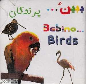 پرندگان (ببین)