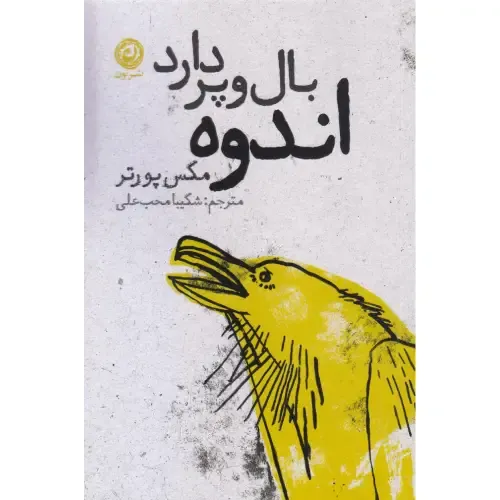 اندوه بال و پر دارد
