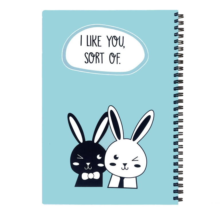 دفتر 100 برگ سیمی وزیری پاستلی PAPCO NP-11018 - 0