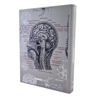 کلاسور 26 حلقه 100 برگ dotnote Anatomy Brain