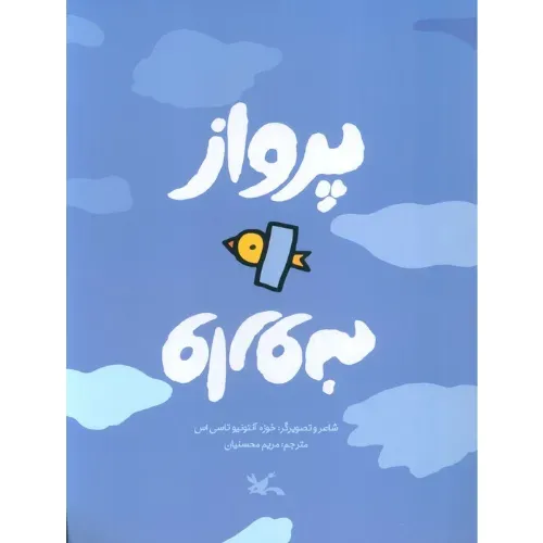 پرواز وارونه
