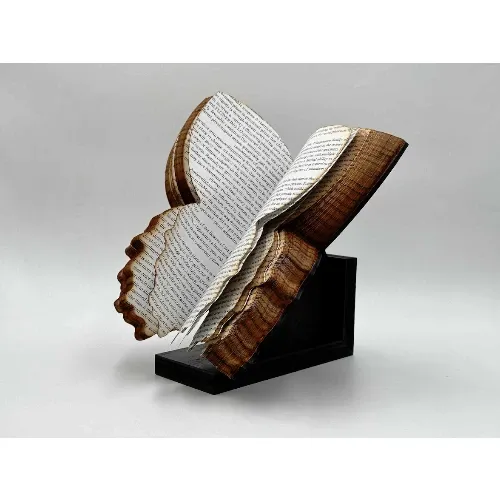 غش‌گیر کتاب طرح پروانه - 0