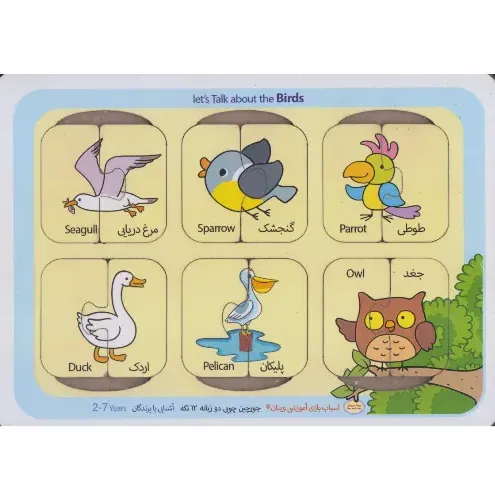 جورچین چوبی 2 زبانه (آشنایی با پرندگان)