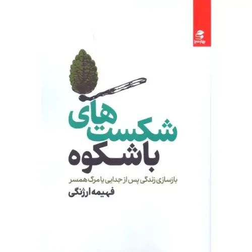 شکست‌های باشکوه (بازسازی زندگی پس از جدایی)