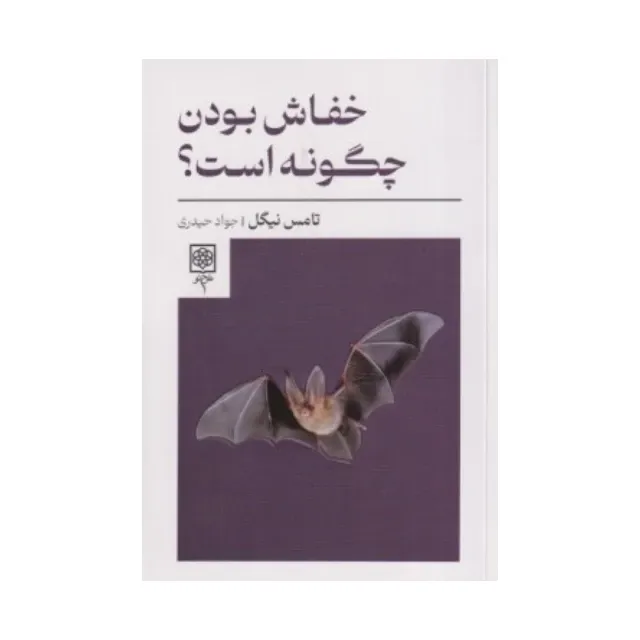 خفاش بودن چگونه است - 0