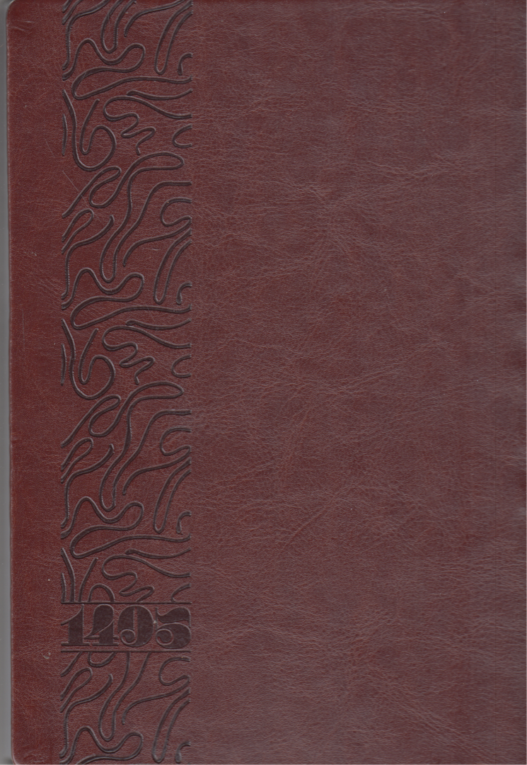 سررسید 1405 (1 روزه چرم طرح‌دار سیمی وزیری 722 سعید)