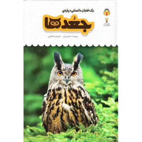 یک فنجان دانستنی درباره جغد‌ها