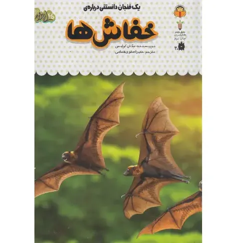 یک فنجان دانستنی درباره خفاش‌ها