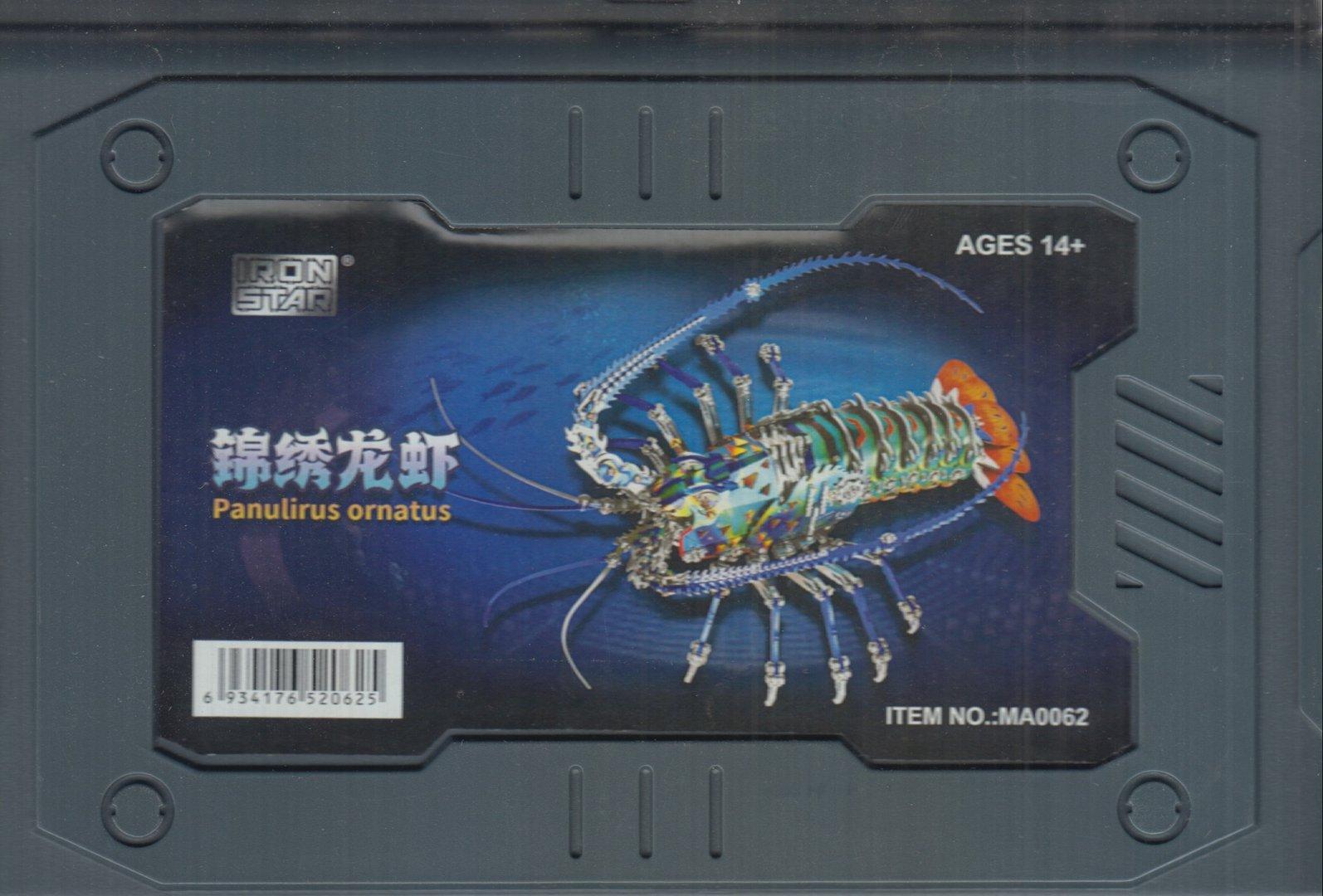Panulirus Ornatus MA0062