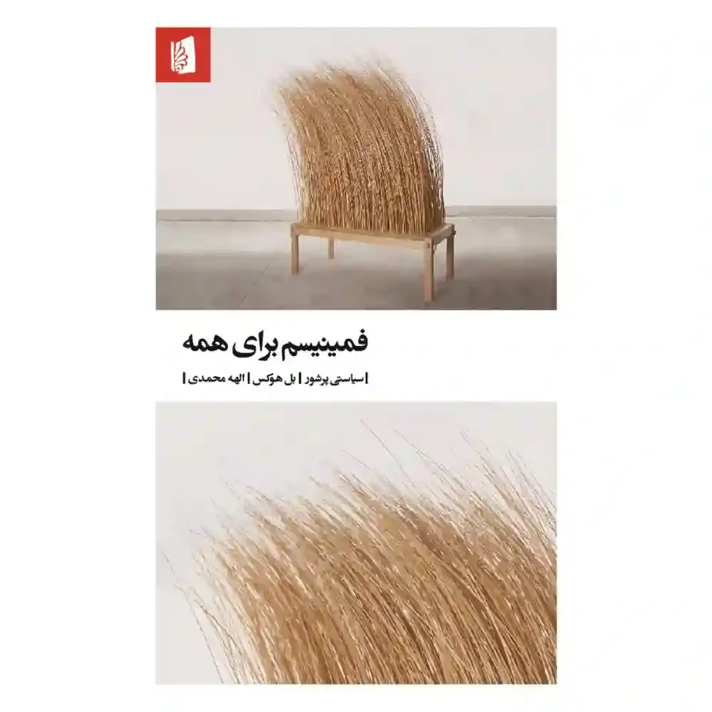 فمینیسم برای همه (سیاستی پرشور)