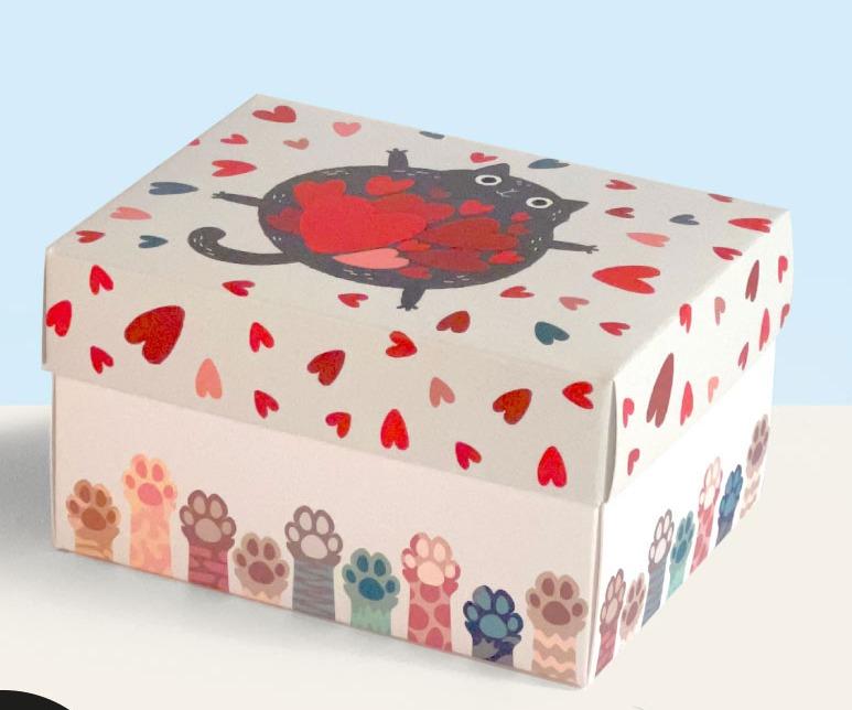 جعبه کادو Boxtil CA-01
