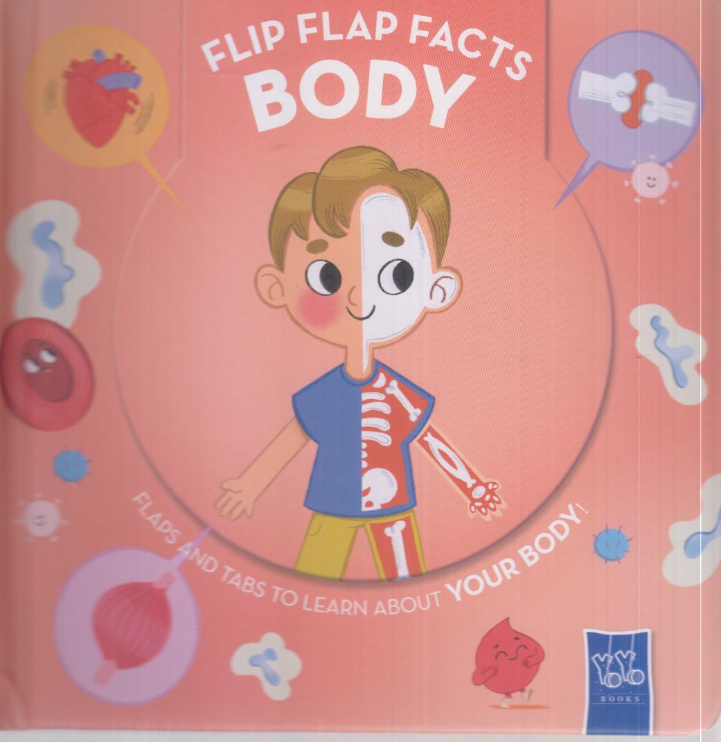 Flip Flap Facts Body