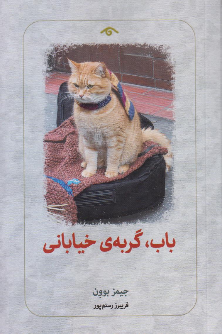 باب گربه خیابانی